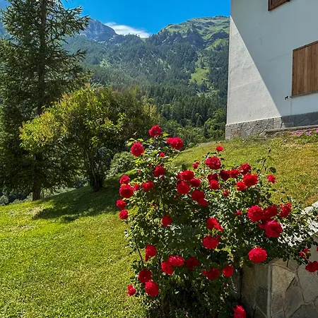 Skinest - With Outdoor Area Crepin